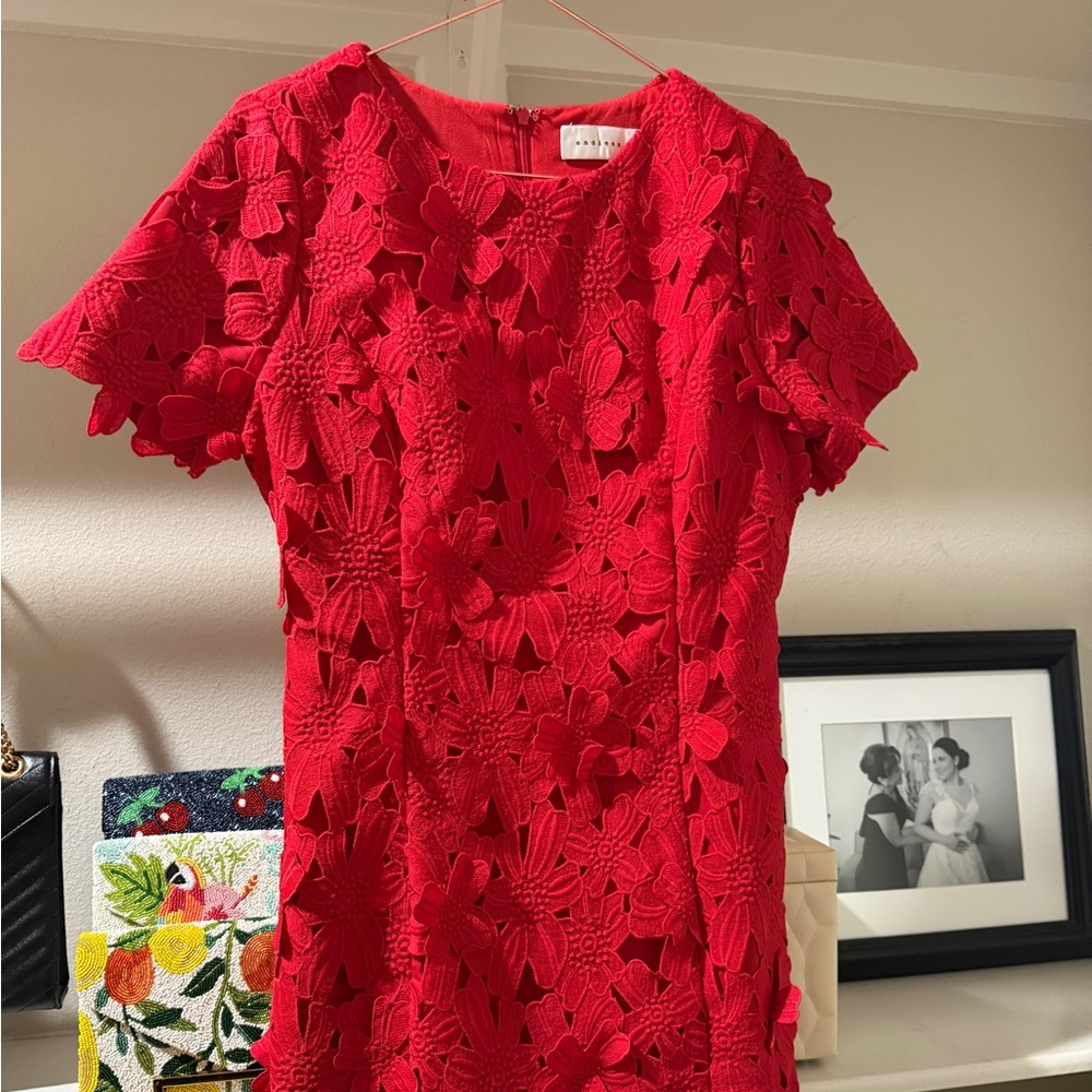 Endless Rose Red 3D Floral Lace Mini Dress – Size M